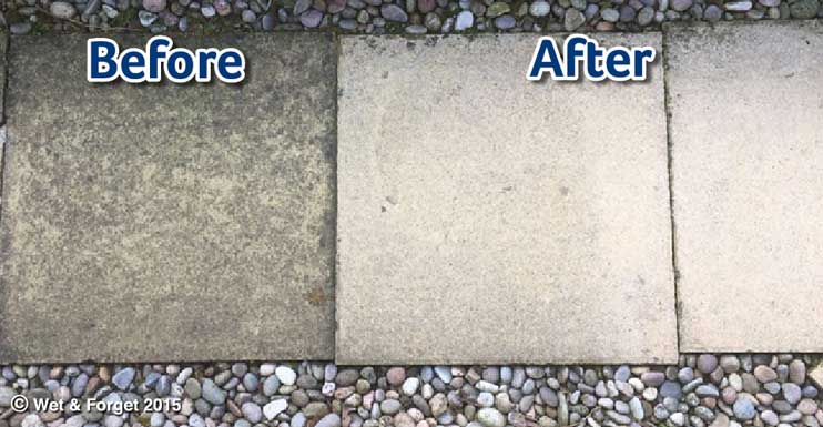 Patio Cleaning Lichen Mould And Algae, Clean Concrete Patio With Bleach