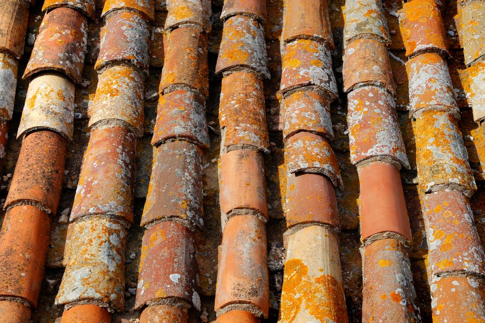 tiled roof image 
